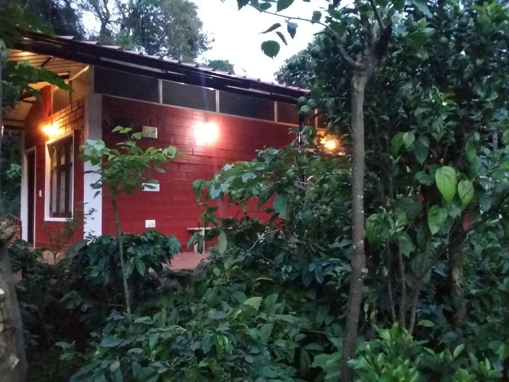 雅典娜民宿 Somvārpet 外观 照片